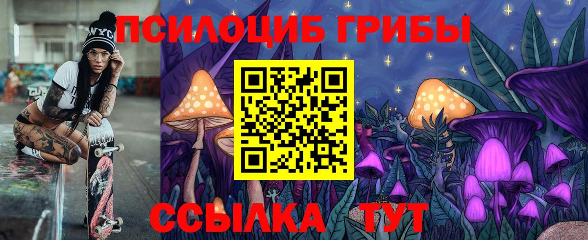 Псилоцибиновые грибы Psilocybe  Псилоцибиновые грибы Cubensis  магазин  наркотиков  Вход с VPN  Коряжма 