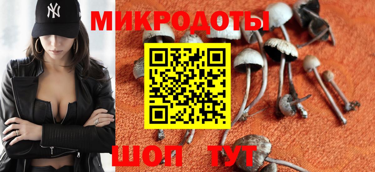 Псилоцибиновые грибы Psilocybine cubensis Коряжма